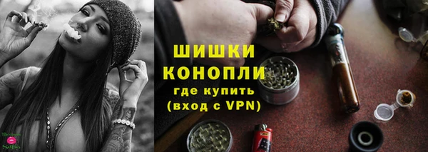 сатива Аркадак