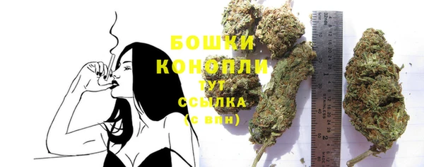 сатива Аркадак