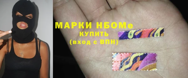 сатива Аркадак