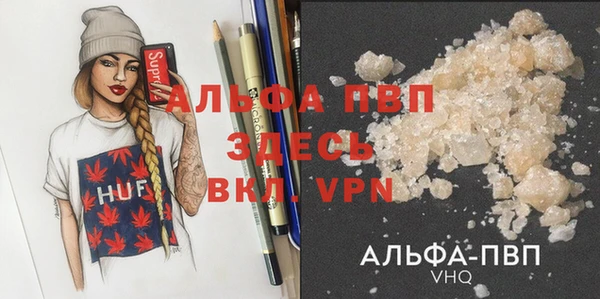 сатива Аркадак