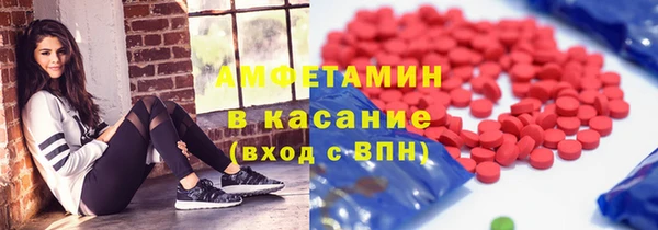 сатива Аркадак