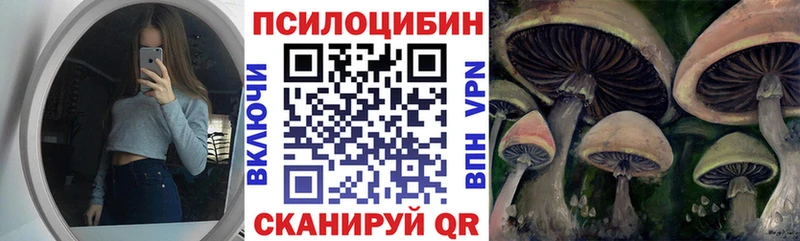 Галлюциногенные грибы Psilocybine cubensis  Приморск 