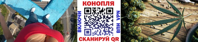 МАРИХУАНА Amnesia  наркотики  Приморск 